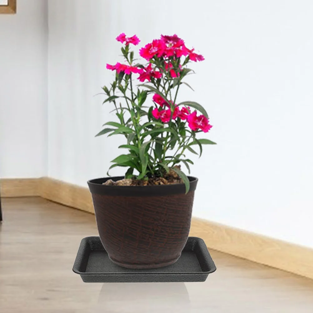 8 Pcs Flower Pot Tray Plastic Trays Plants Saucers Water Catcher Planters Accessories Plates Indoor
8 Pcs Flower Pot Tray Plastic Trays Plants Saucers Water Catcher Planters Accessories Plates Indoor