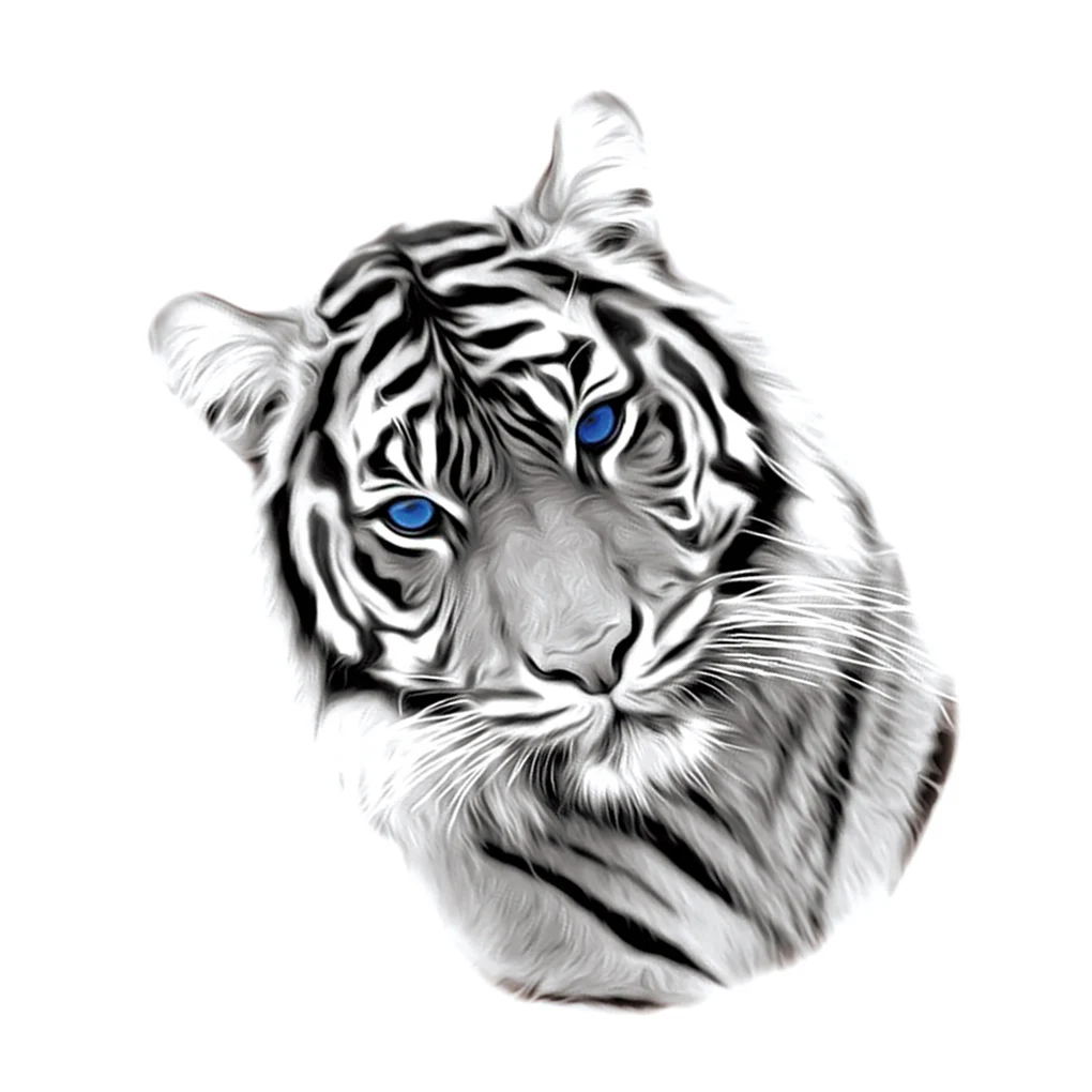 20 Sheets Temporary Tattoos Convenient Arm Decoration Tattooing Stickers Waterproof Animal Pattern Body Decals for Men 
20 Sheets Temporary Tattoos Convenient Arm Decoration Tattooing Stickers Waterproof Animal Pattern Body Decals for Men