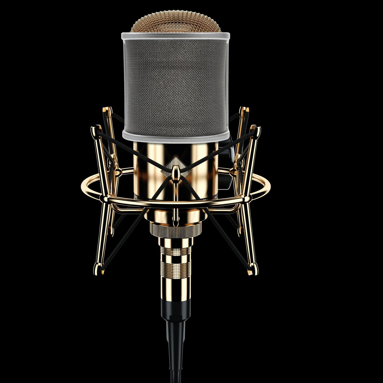 Pop Filter Adjustable Microphone Microphone Wind Cover Accessory Vocal booth
Pop Filter Adjustable Microphone Microphone Wind Cover Accessory Vocal booth