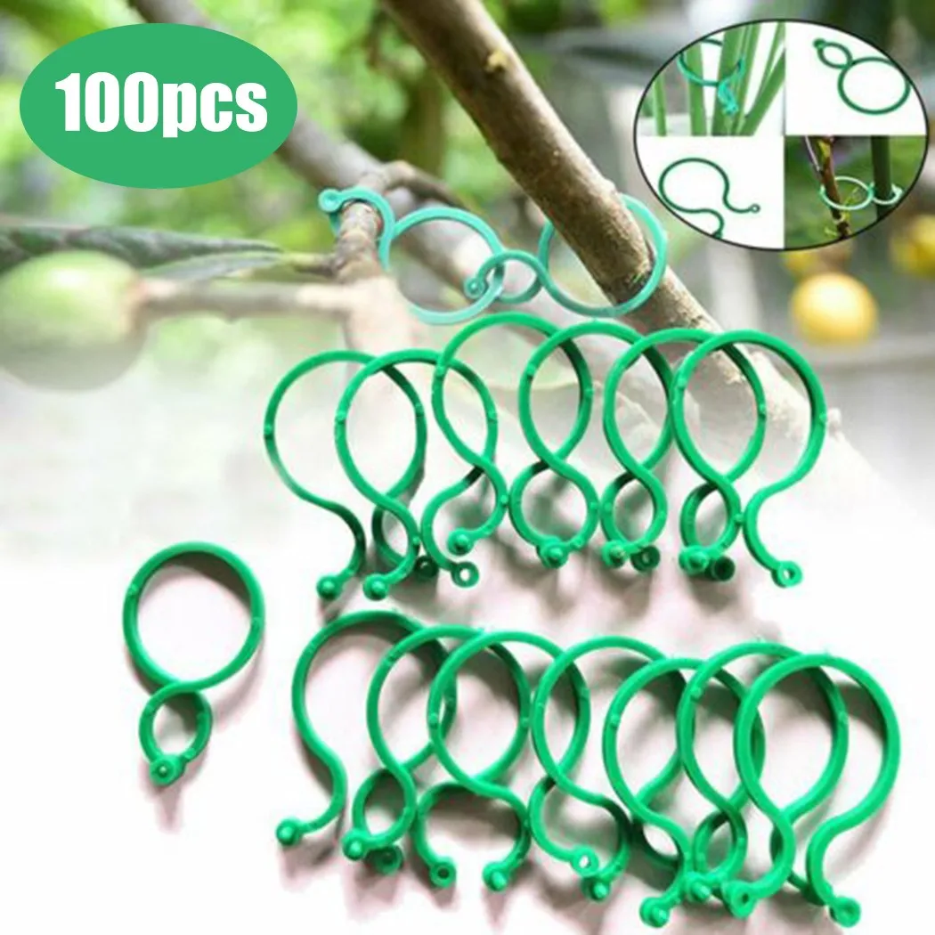 100pcs Plant Clips Support For Plants Plastic Vine Hold Clips Buckle Hook Supports Connects Vegetable Garden Orchard Tools
100pcs Plant Clips Support For Plants Plastic Vine Hold Clips Buckle Hook Supports Connects Vegetable Garden Orchard Tools