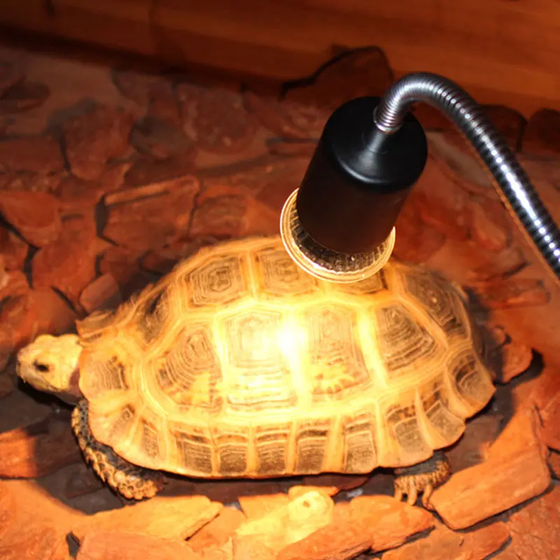 Pet Heat Lamp Bulb Reptile Heating UV Light Bulb Temperature Controller Sunbathing Lamp Sun Lamp Climbing Pet Supply 25/50/75W
Pet Heat Lamp Bulb Reptile Heating UV Light Bulb Temperature Controller Sunbathing Lamp Sun Lamp Climbing Pet Supply 25/50/75W