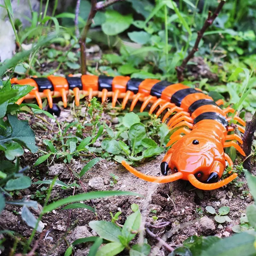 Novelty Remote Control Centipede Simulation Toy For Children Infrared Electric Spoof Tricky Toy Simulation Animal Toy Gifts
Novelty Remote Control Centipede Simulation Toy For Children Infrared Electric Spoof Tricky Toy Simulation Animal Toy Gifts