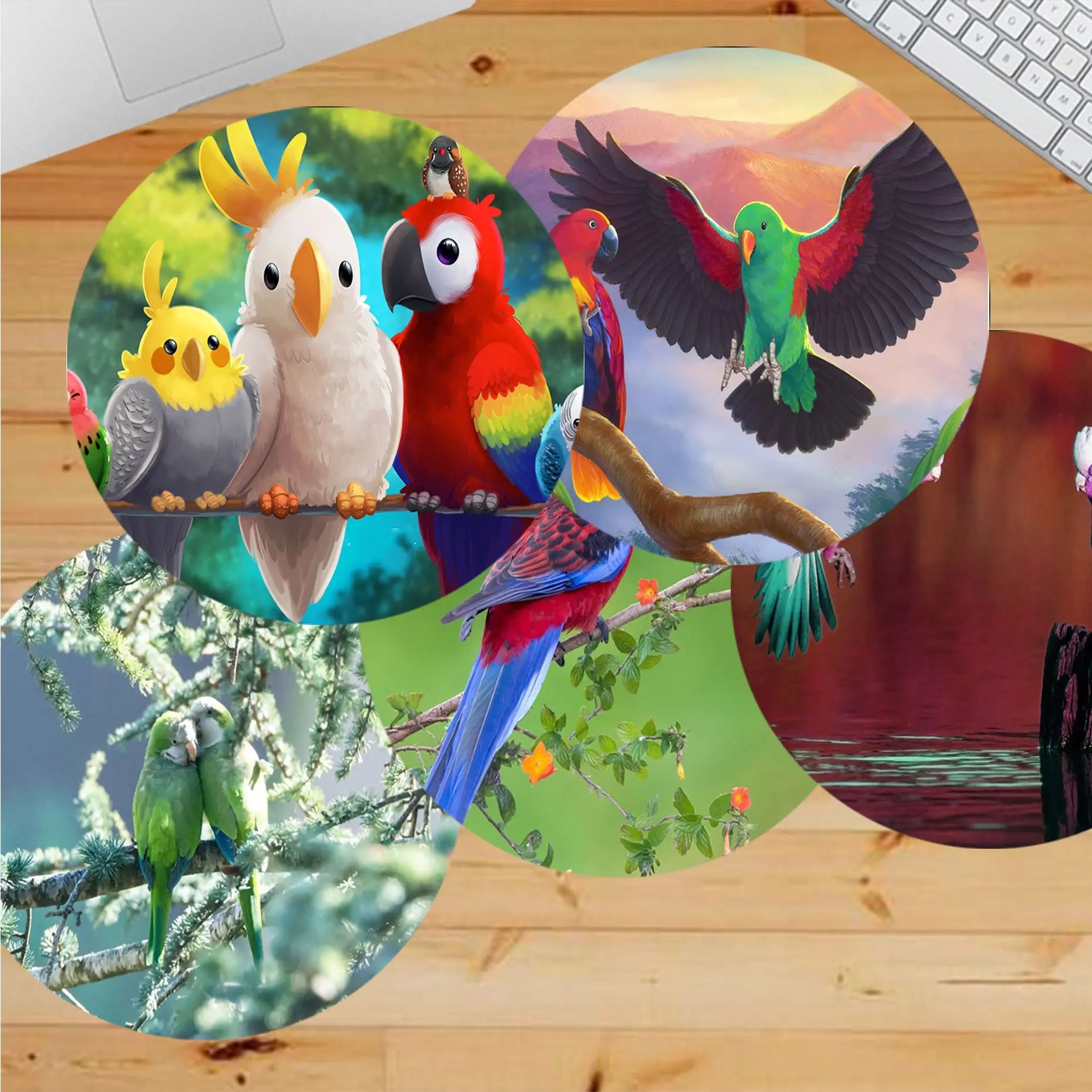 Animal Bird Parrot 22x22cm Round Speed Version Game Computer Keyboard Table Mat PC Laptop Mouse Mat Padmouse Desk Play Mats
Animal Bird Parrot 22x22cm Round Speed Version Game Computer Keyboard Table Mat PC Laptop Mouse Mat Padmouse Desk Play Mats