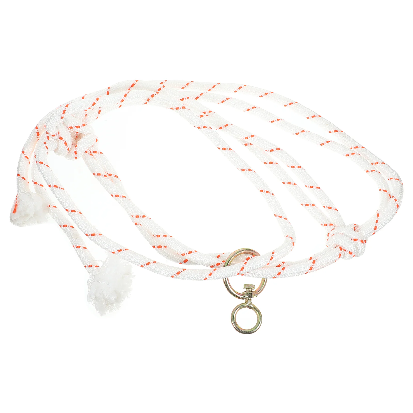 Outdoor Cattle Halter Lanyards Medium Protector Professional Supply Metal Bridles Horses Suspenders
Outdoor Cattle Halter Lanyards Medium Protector Professional Supply Metal Bridles Horses Suspenders