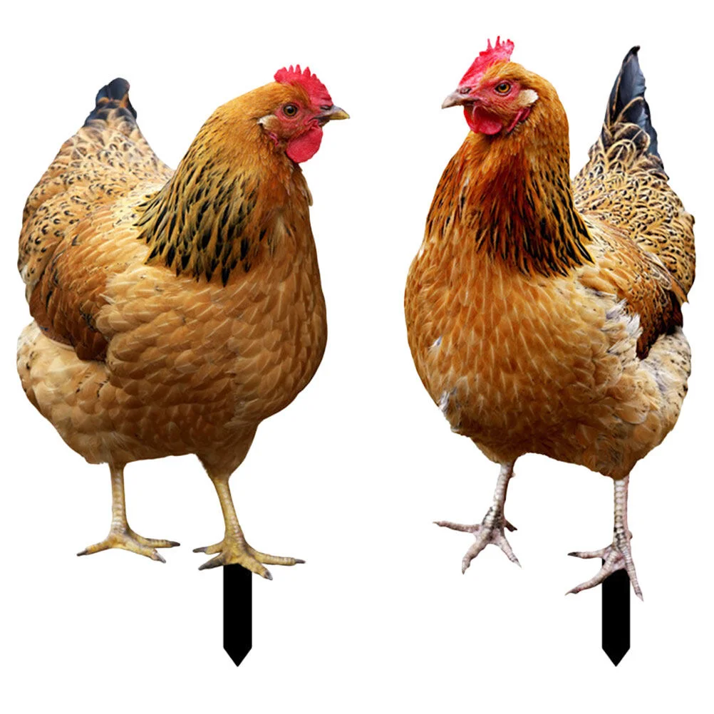 2Pcs Garden Acrylic Chicken Yard Lawn Hen Inserts for Outdoor Gardens Backyards Lawns
2Pcs Garden Acrylic Chicken Yard Lawn Hen Inserts for Outdoor Gardens Backyards Lawns