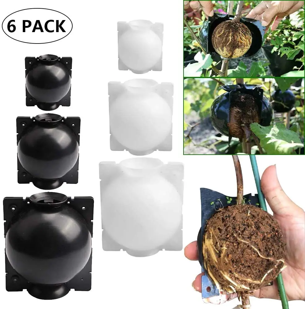 6PCS Plant Rooting Ball Root Device Gallon Pots Pressure Propagation Ball Box Grafting Root Growing Box Propagation Pots
6PCS Plant Rooting Ball Root Device Gallon Pots Pressure Propagation Ball Box Grafting Root Growing Box Propagation Pots