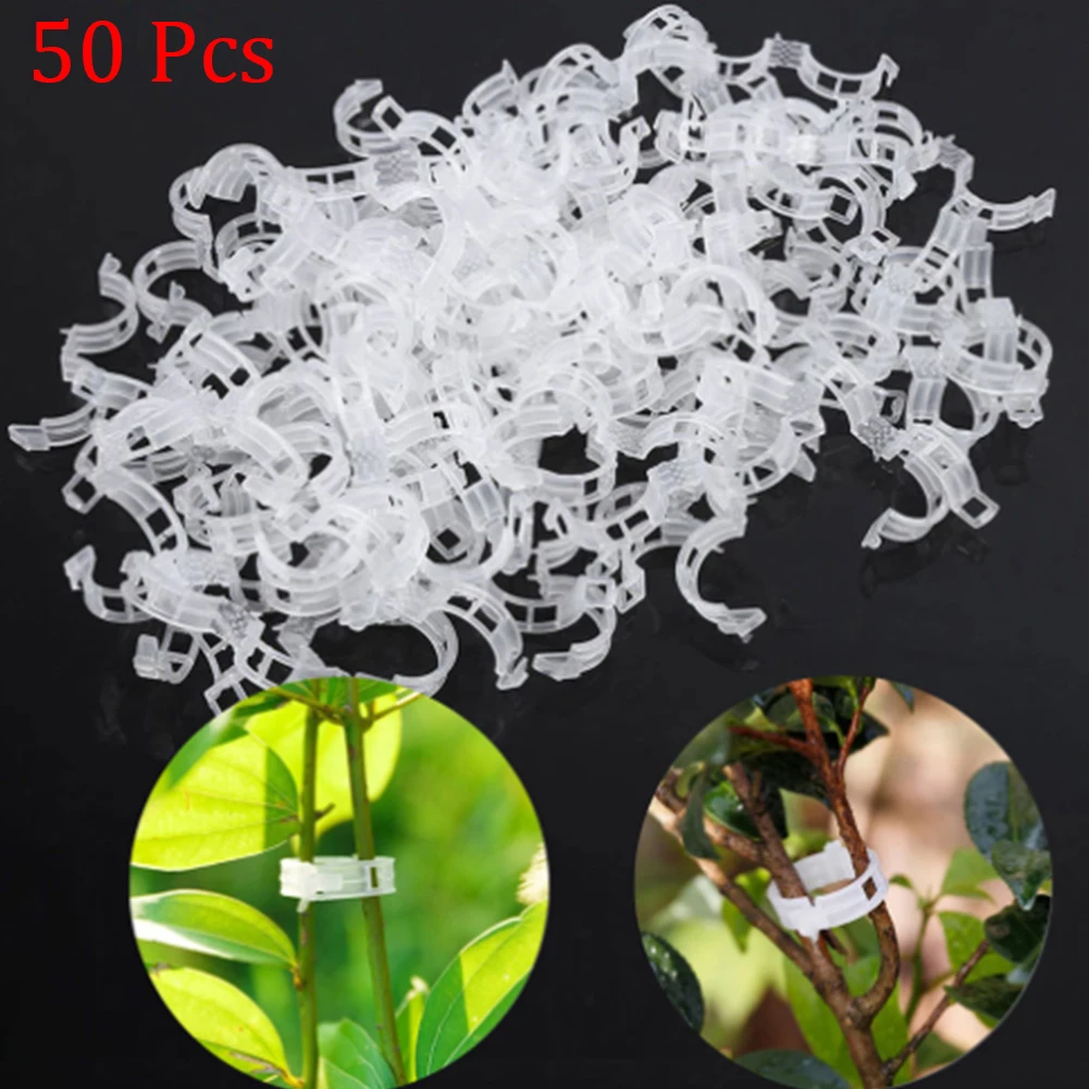 50Pcs Plant Support Clips Gardening Supplies Plant Wall Climbing Grafting Fixing Vine Clip Fixed Fastener For Vegetable Tomatoes
50Pcs Plant Support Clips Gardening Supplies Plant Wall Climbing Grafting Fixing Vine Clip Fixed Fastener For Vegetable Tomatoes