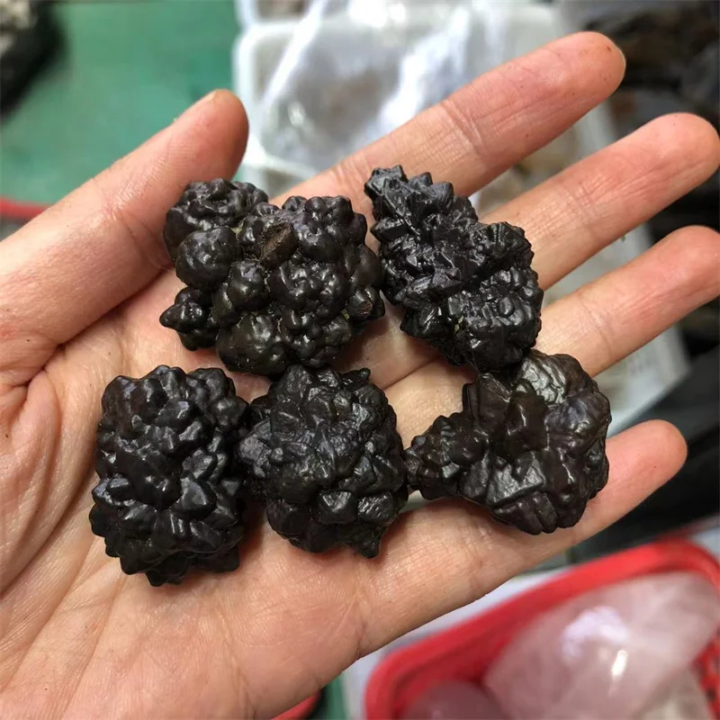 Black Rough Raw Prophecy Stones Natural Gemstones Quartz Crystal Healing Reiki Gems Home Decoration
Black Rough Raw Prophecy Stones Natural Gemstones Quartz Crystal Healing Reiki Gems Home Decoration