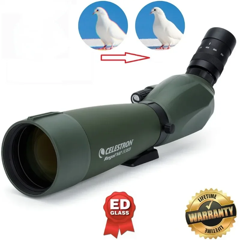 Celestron Regal M2 80ED точечная труба с 20-60x Окуляром (под углом) для наблюдения за птицами, охоты и цифровой съемки
Celestron Regal M2 80ED точечная труба с 20-60x Окуляром (под углом) для наблюдения за птицами, охоты и цифровой съемки