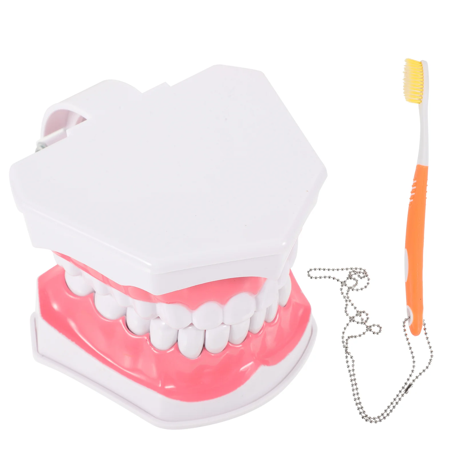 Chemicals Mannequins Dental Mouth Model Extractable Teeth Teaching Standard Tooth Plastic
Chemicals Mannequins Dental Mouth Model Extractable Teeth Teaching Standard Tooth Plastic