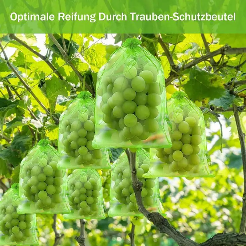 Fruit Protection Bags | Fruit Trees Fruit Cover Mesh Bag with Drawstring 100 Pieces | Netting Barrier Bags for Plant Fruit Flowe
Fruit Protection Bags | Fruit Trees Fruit Cover Mesh Bag with Drawstring 100 Pieces | Netting Barrier Bags for Plant Fruit Flowe