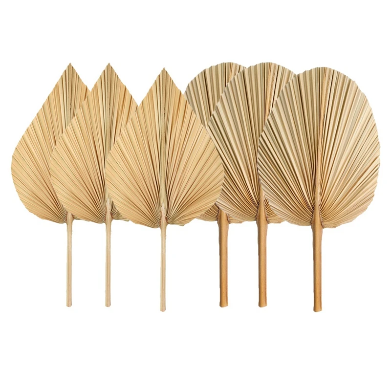 6PCS Dried Palm Leaves Dried Palm Fronds Decorations For Home Heart And Round Shape Dried Plants Trimmed Boho Palm
6PCS Dried Palm Leaves Dried Palm Fronds Decorations For Home Heart And Round Shape Dried Plants Trimmed Boho Palm