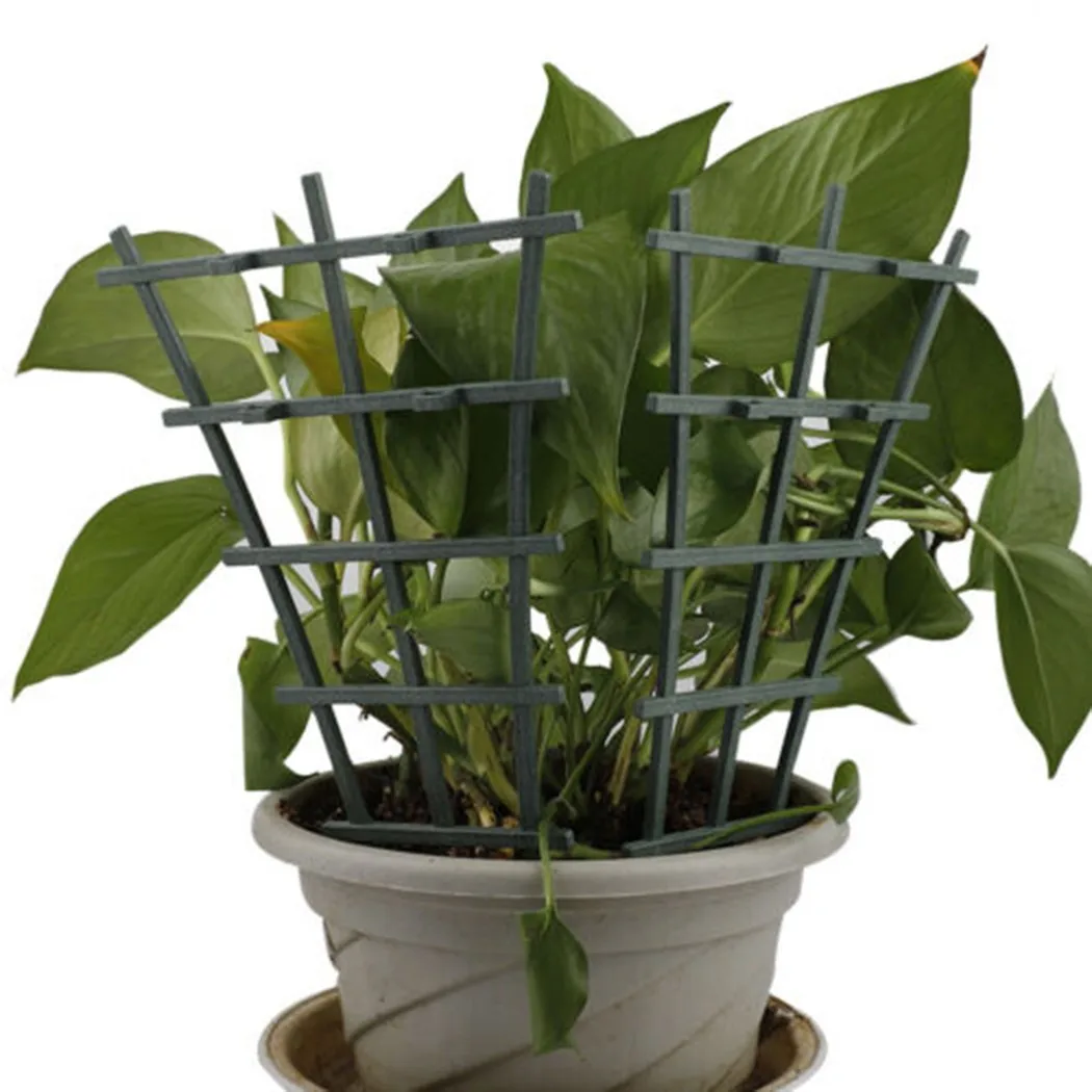 2pcs Plant Support Frame 9.84in Plastic Green Garden Plant Climbing Trellis Vegetables Flowers Tie Support Plant Pot Frame
2pcs Plant Support Frame 9.84in Plastic Green Garden Plant Climbing Trellis Vegetables Flowers Tie Support Plant Pot Frame