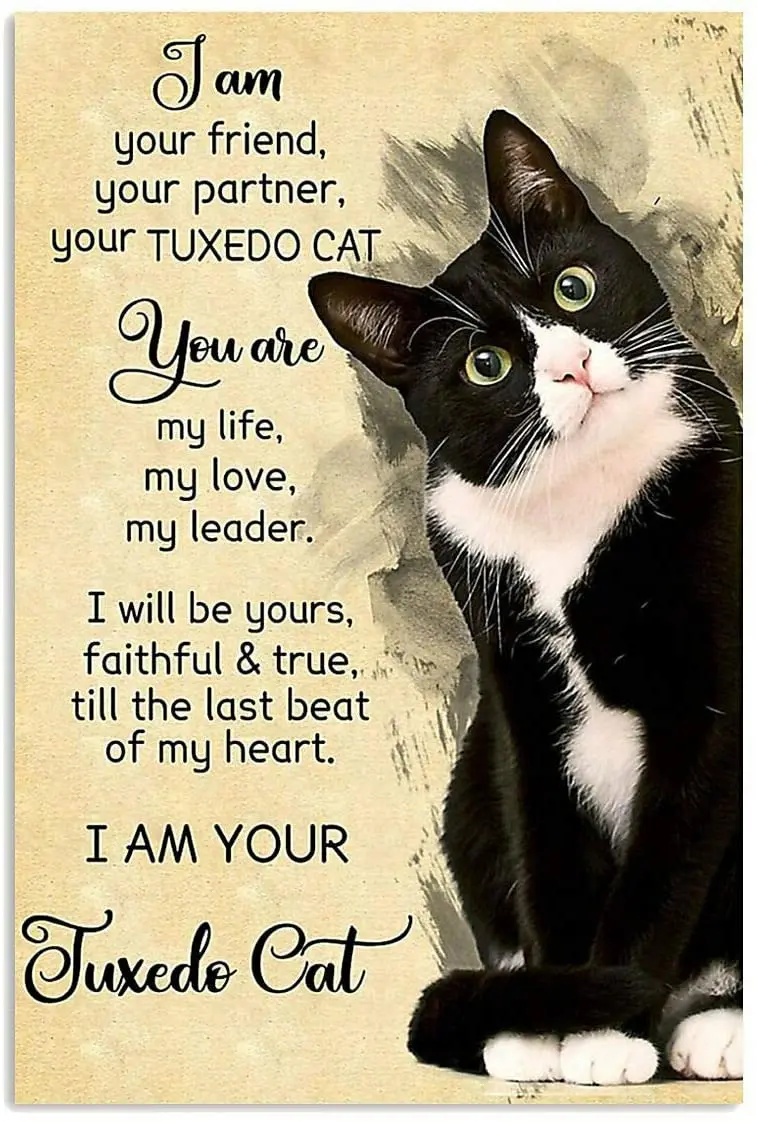 SIGNCHAT I Am Your Tuxedo Cat Poster Cat Lover Poster Cat Gift Retro Art Wall Decor Metal Sign Poster 8x12 inch
SIGNCHAT I Am Your Tuxedo Cat Poster Cat Lover Poster Cat Gift Retro Art Wall Decor Metal Sign Poster 8x12 inch