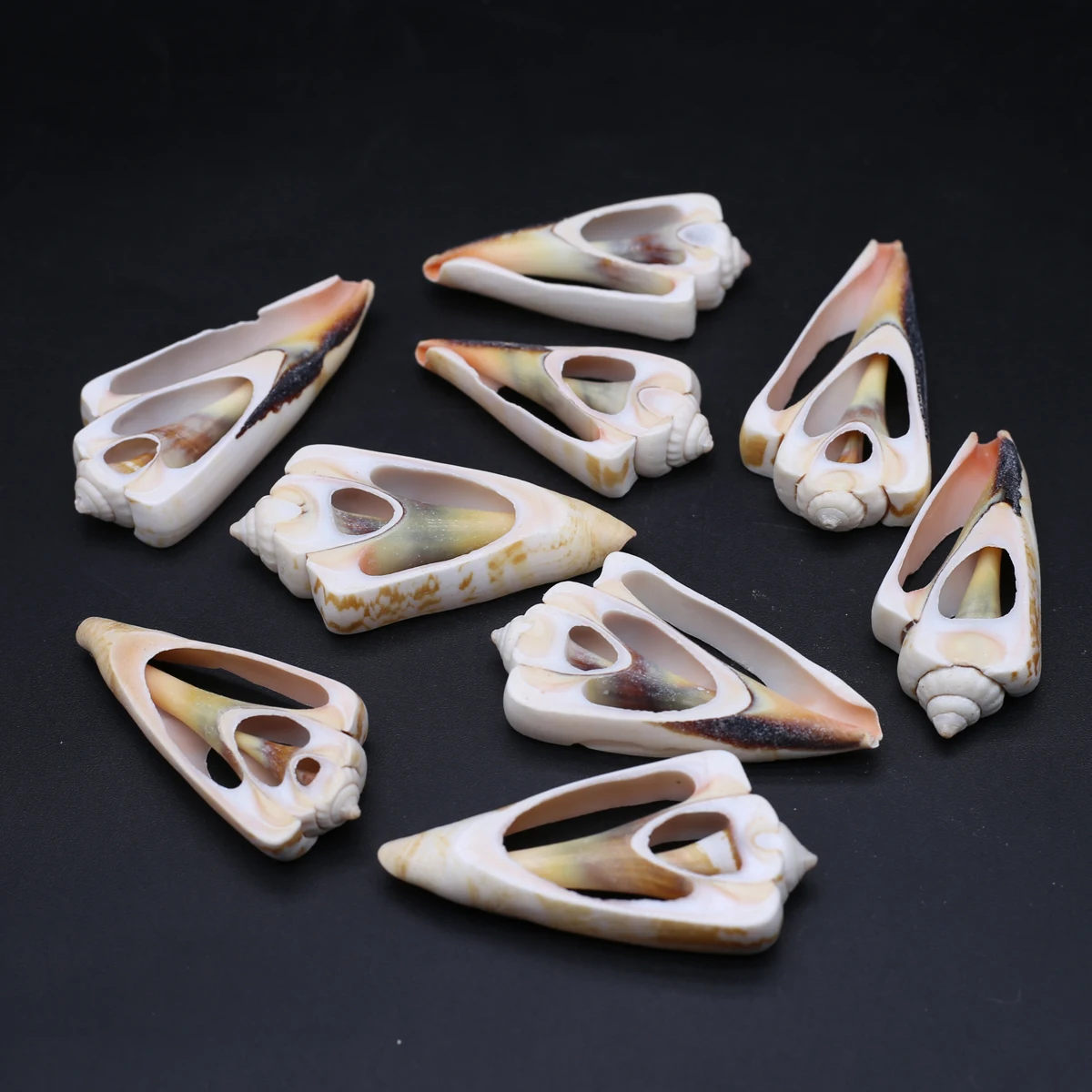 About 12Pcs Faceted Natural Shell Conch Beads Shellfish Tribal Loose Spacer Beads For Jewelry Making DIy Crafts Accessories
About 12Pcs Faceted Natural Shell Conch Beads Shellfish Tribal Loose Spacer Beads For Jewelry Making DIy Crafts Accessories