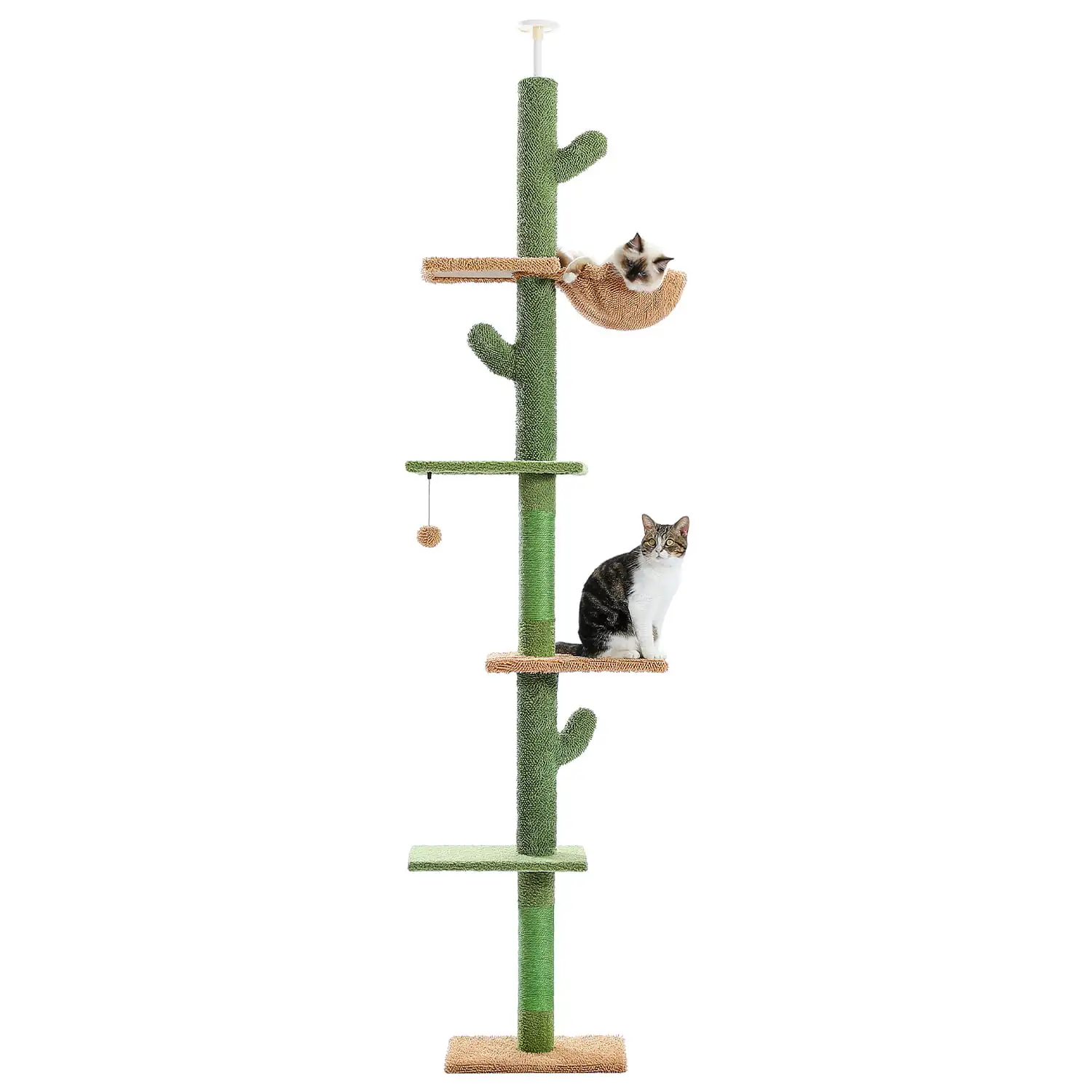 5-Level Cat Tree Cactus Style Floor to Ceiling Tower for Indoor Small Cats Green Free Shipping
5-Level Cat Tree Cactus Style Floor to Ceiling Tower for Indoor Small Cats Green Free Shipping