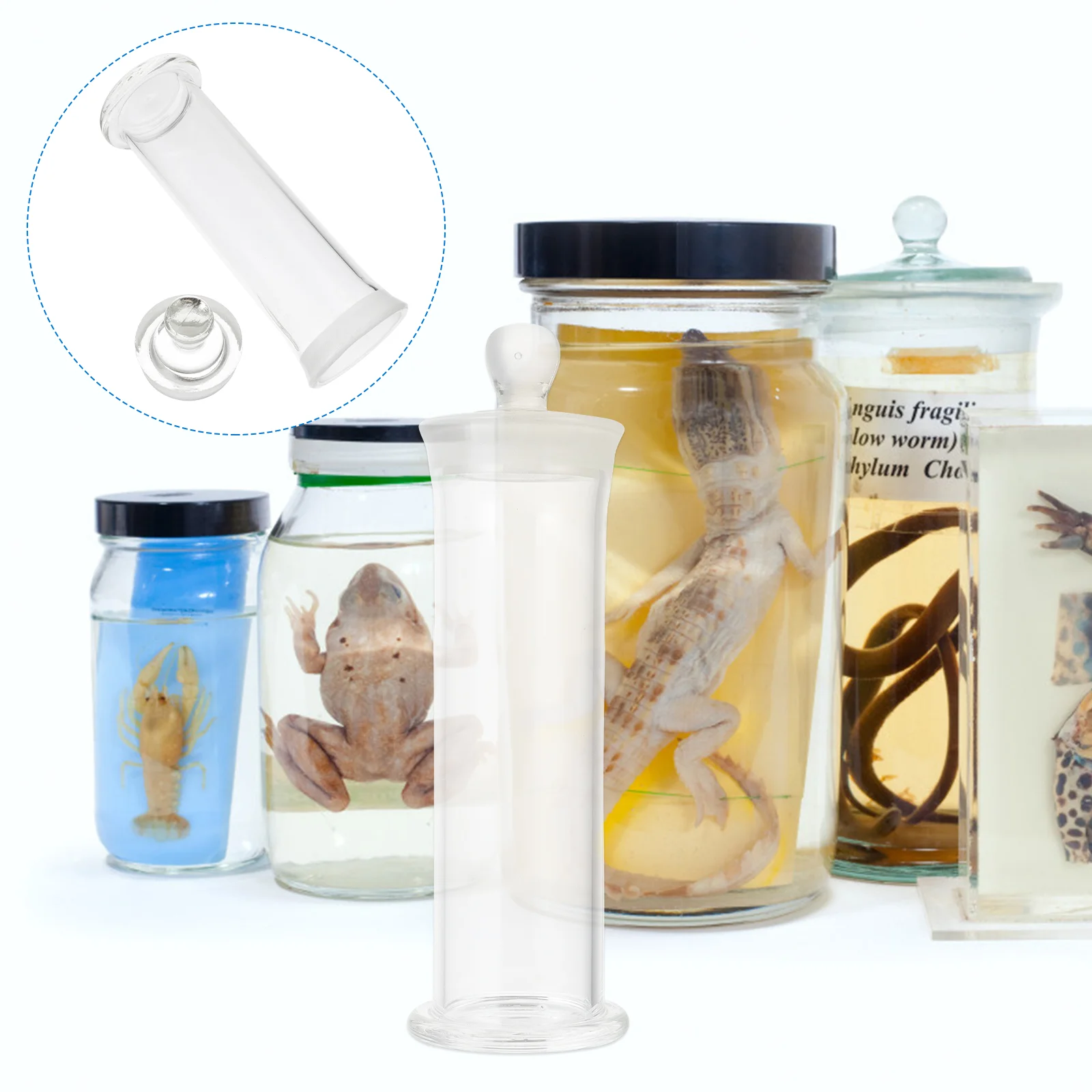 Vial Heat Resistant Bottle Sample Laboratory Glass Storage Specimen High Temperature Resistance
Vial Heat Resistant Bottle Sample Laboratory Glass Storage Specimen High Temperature Resistance
