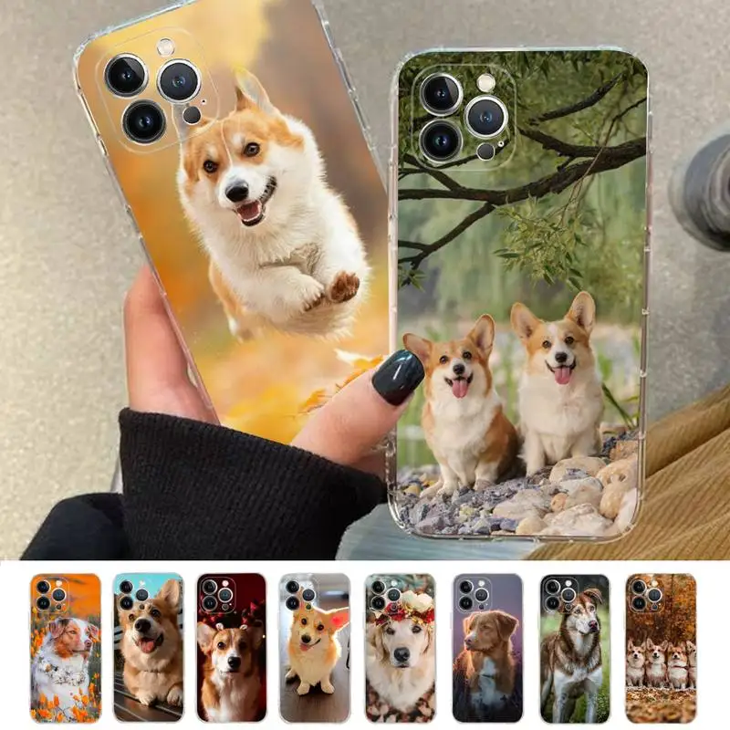 welsh corgi pembroke Phone Case For iPhone 8 7 6 6S Plus X SE 2020 XR XS 14 11 12 13 Mini Pro Max Mobile Case
welsh corgi pembroke Phone Case For iPhone 8 7 6 6S Plus X SE 2020 XR XS 14 11 12 13 Mini Pro Max Mobile Case