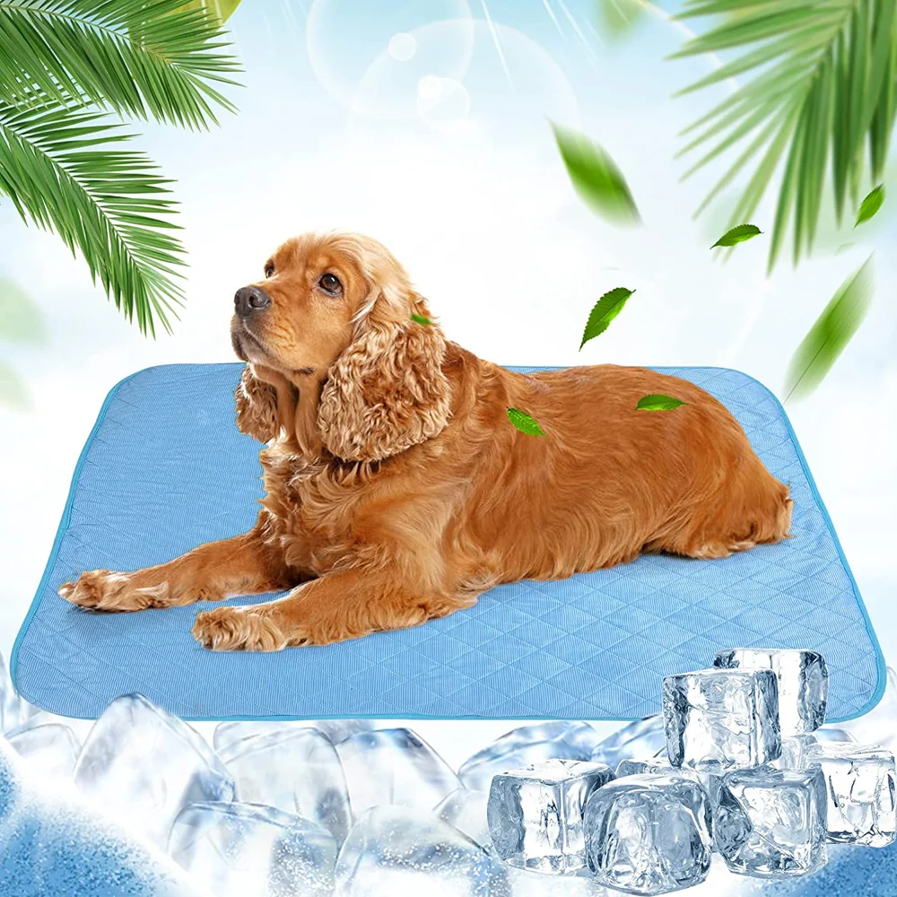 Medium Summer Washable Cat Cool Pad For Breathable Bed Mats Mat Dogs Ice Dog Sofa Blanket Dogs Dog Large Pet Cooling Mat 
Medium Summer Washable Cat Cool Pad For Breathable Bed Mats Mat Dogs Ice Dog Sofa Blanket Dogs Dog Large Pet Cooling Mat