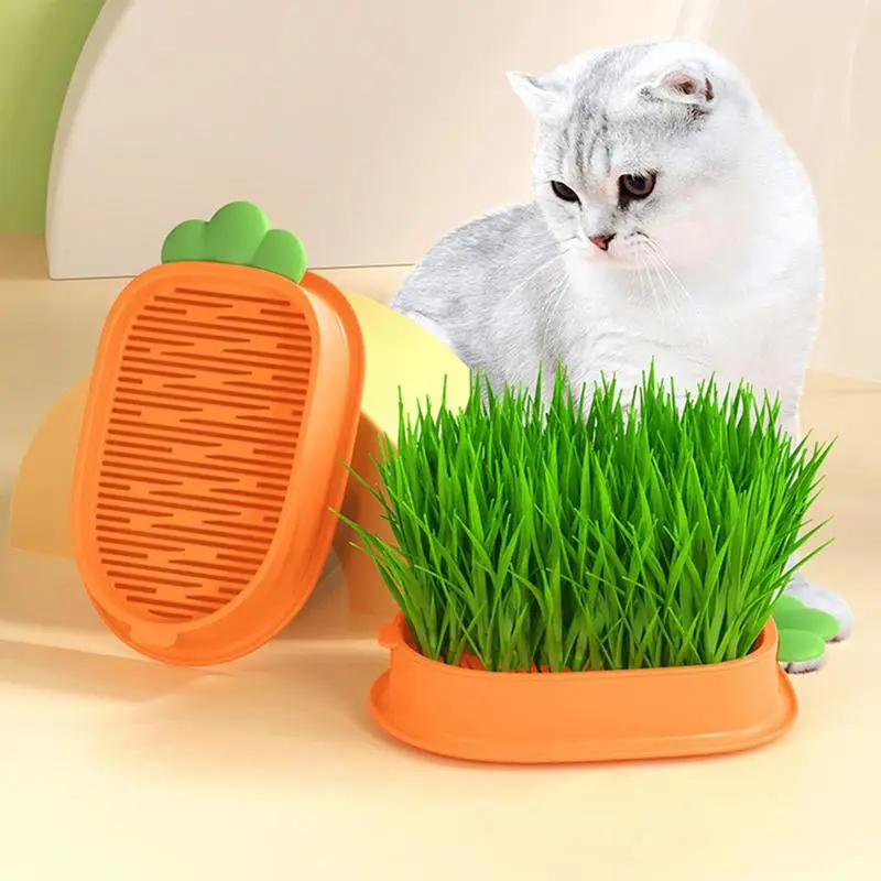 

Grass Box For Cats Hydroponic Cat Grass Grower Catnip Planter Detachable Planting Box Soil Free Grass Box for Cats Dogs Pets