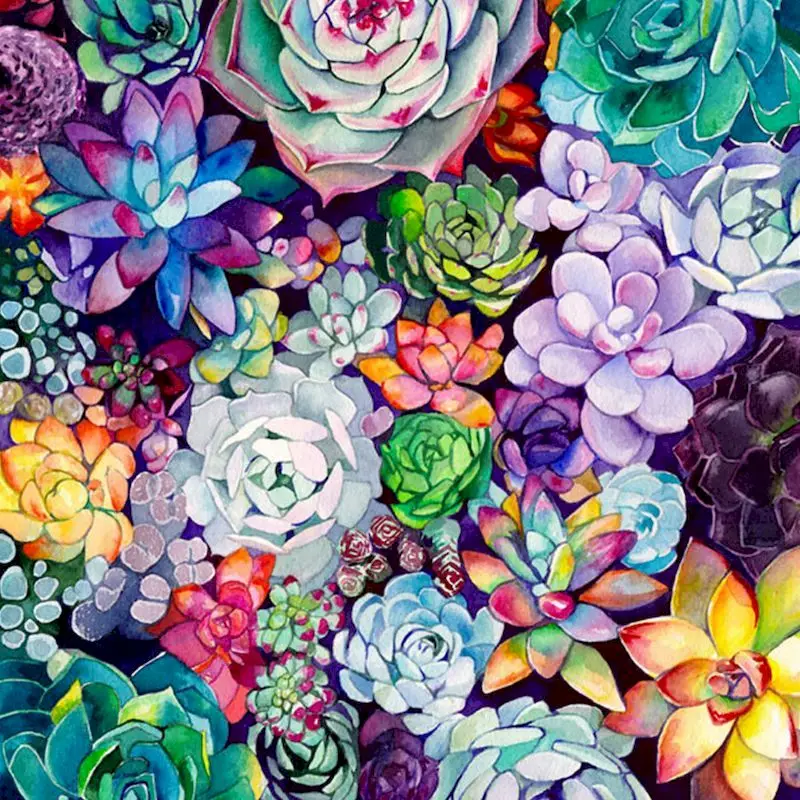 DIY Painting By Numbers Kits Colorful Succulent Flowers Acrylic Paint By Numbers For Adult Home Decor
DIY Painting By Numbers Kits Colorful Succulent Flowers Acrylic Paint By Numbers For Adult Home Decor
