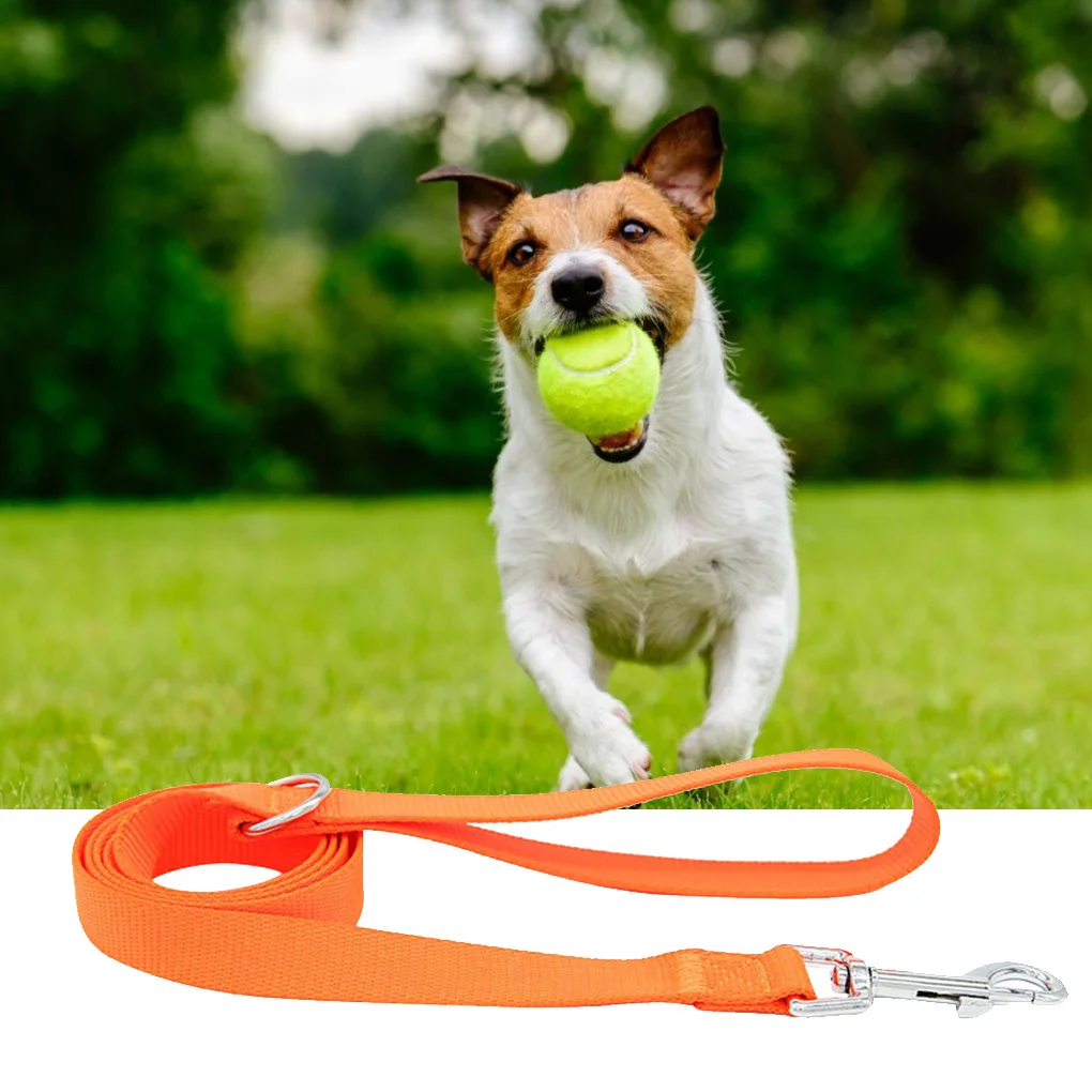 Dog Collar With Buckle Clip Anti-Lost/Avoid Car Accident Collar For Dogs Puppies Dog Collars Leads Supplies Pet Products
Dog Collar With Buckle Clip Anti-Lost/Avoid Car Accident Collar For Dogs Puppies Dog Collars Leads Supplies Pet Products