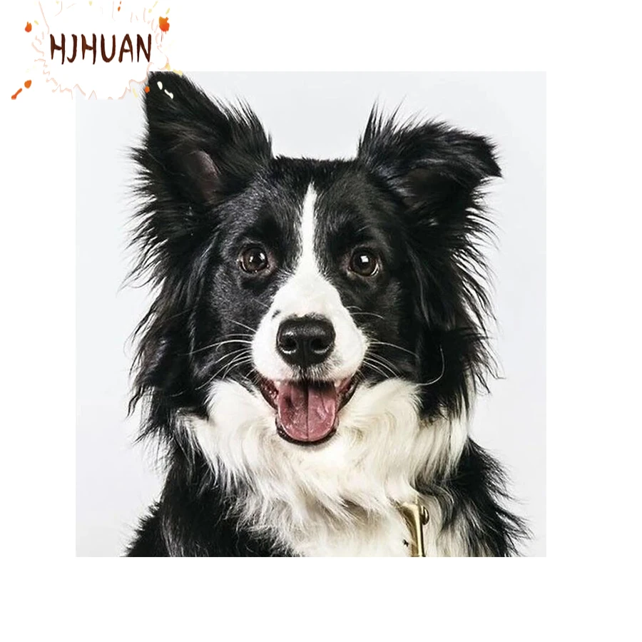 New 5d Diy Diamond Painting dog Full Square/round Diamond Embroidery Cross stitch art Pictures Of Rhinestones Mosaic Home Decor
New 5d Diy Diamond Painting dog Full Square/round Diamond Embroidery Cross stitch art Pictures Of Rhinestones Mosaic Home Decor