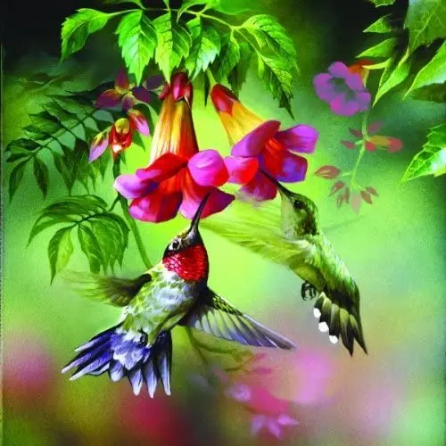 Hummingbirds collect honey Brain challenge games for teenagers and children kids toys educational
Hummingbirds collect honey Brain challenge games for teenagers and children kids toys educational