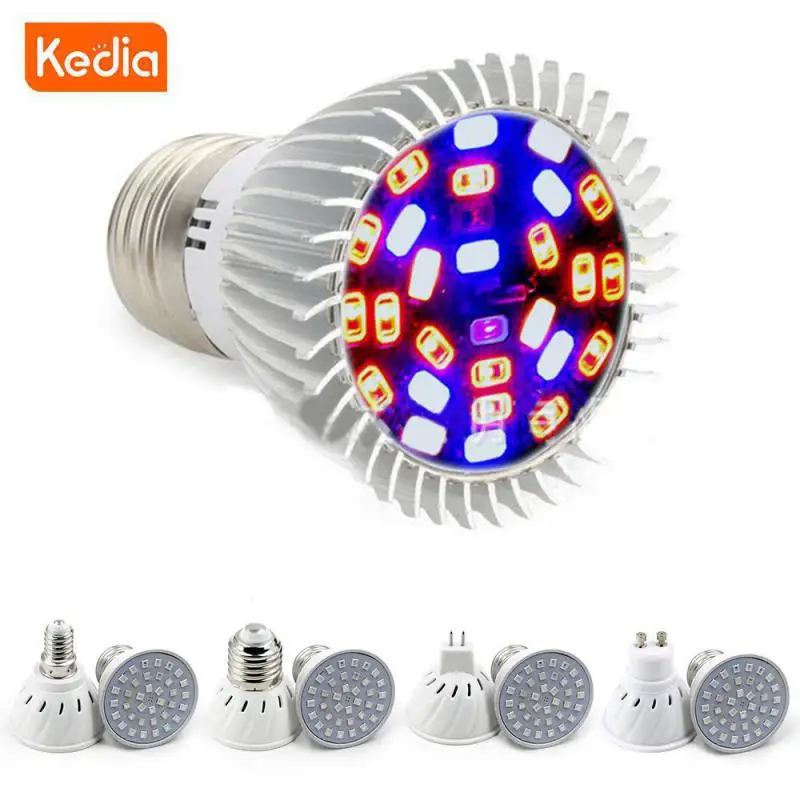 Vegetable Seedling Improves Plant Yield Promotes Healthy Plant Growth Indoor Plant Lamp Suitable For Indoor Cultivation Smd2835
Vegetable Seedling Improves Plant Yield Promotes Healthy Plant Growth Indoor Plant Lamp Suitable For Indoor Cultivation Smd2835