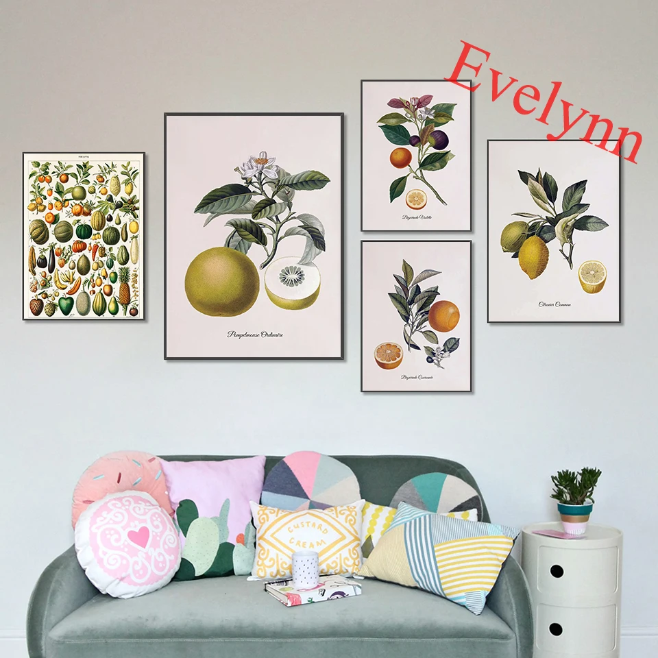 Vintage Fruit Illustration Kitchen Plant Poster Nordic Modern Home Living Room Decor Wall Art Prints Picture Gift
Vintage Fruit Illustration Kitchen Plant Poster Nordic Modern Home Living Room Decor Wall Art Prints Picture Gift