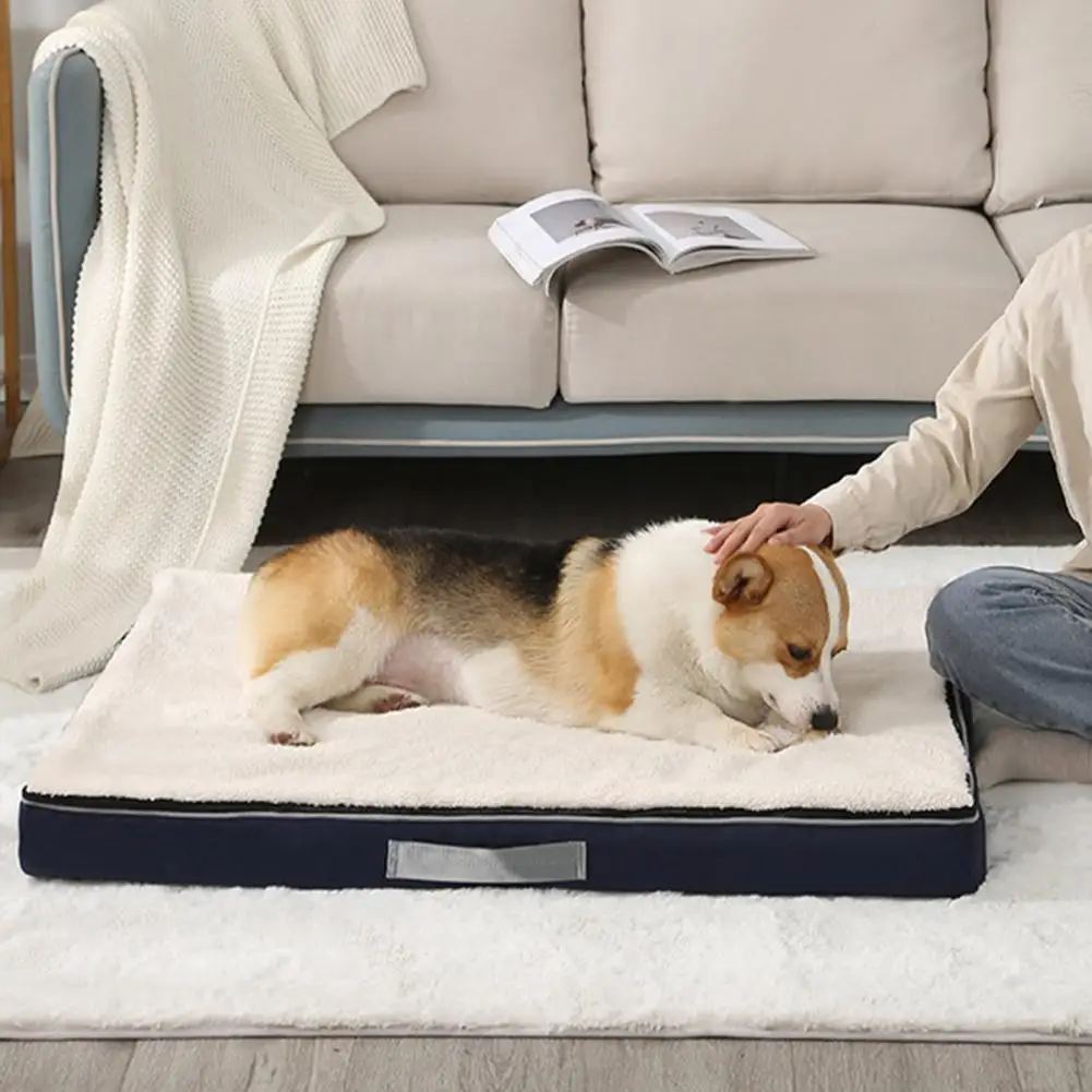 Pet Pad Practical High Rebound Wear-resistant Anti-slip Bottom Dog Sleeping Bed for Bedroom
Pet Pad Practical High Rebound Wear-resistant Anti-slip Bottom Dog Sleeping Bed for Bedroom