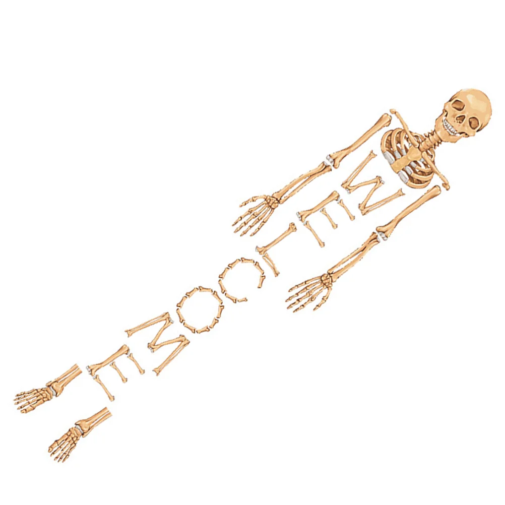 Home Decor Halloween Wall Sticker Door Living Room Stickers Pvc DIY
Home Decor Halloween Wall Sticker Door Living Room Stickers Pvc DIY