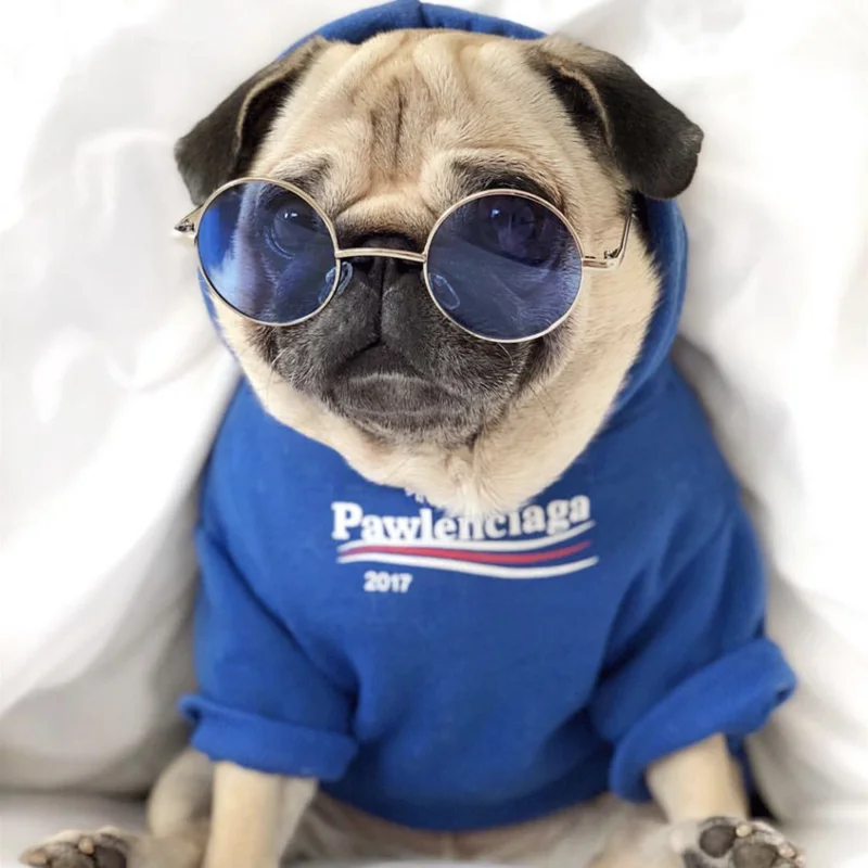 Fashion French Bulldog Blue Hoodie Pet Clothes On The Back Hooded Sweater Tide Brand Coat French Bulldog Dog Clothes
Fashion French Bulldog Blue Hoodie Pet Clothes On The Back Hooded Sweater Tide Brand Coat French Bulldog Dog Clothes
