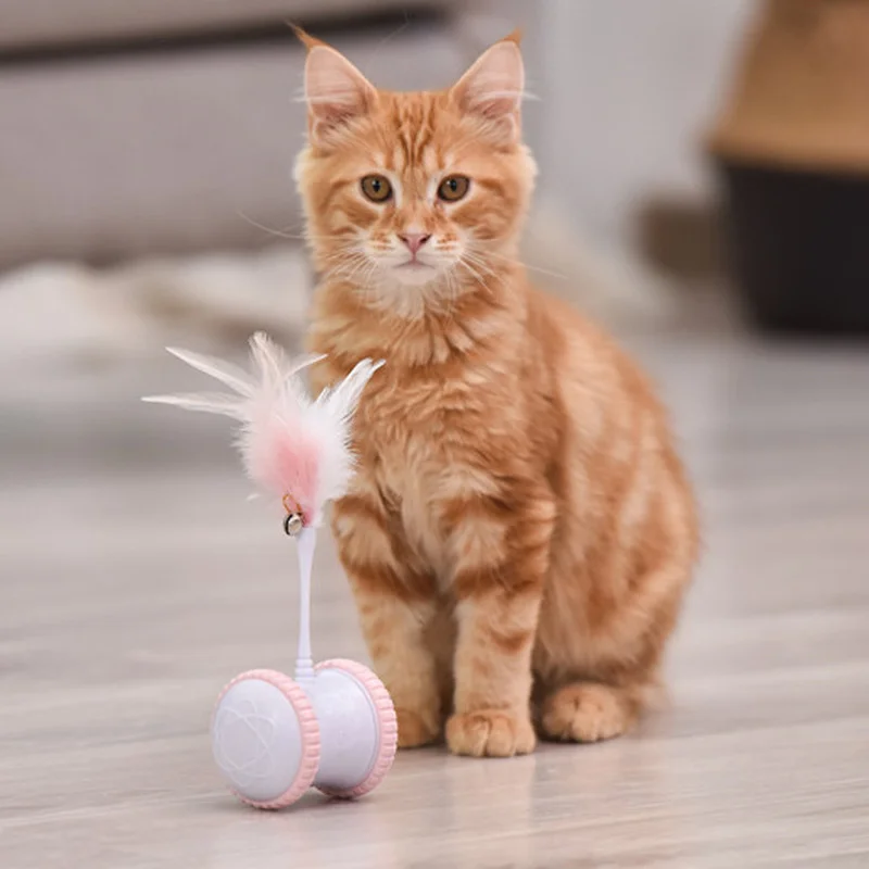 Electric cat toy cat stick feather intelligent cat self healing tumbler toy automatic change direction USB charging pet toy
Electric cat toy cat stick feather intelligent cat self healing tumbler toy automatic change direction USB charging pet toy