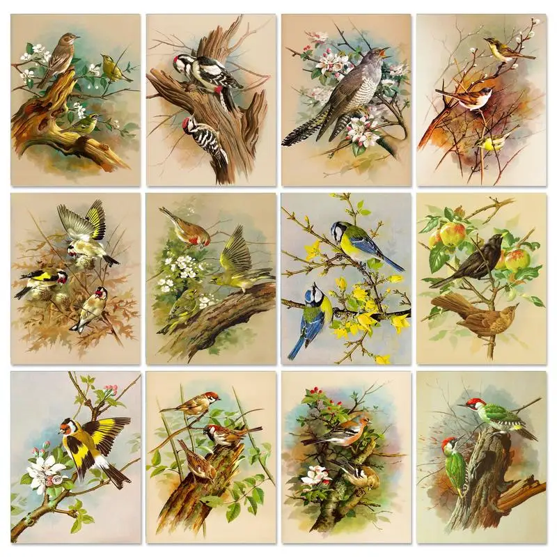 GATYZTORY Frame Paint By Number Birds Drawing On Canvas HandPainted DIY Pictures By Number Kits Adults Crafts Home Decor Gift
GATYZTORY Frame Paint By Number Birds Drawing On Canvas HandPainted DIY Pictures By Number Kits Adults Crafts Home Decor Gift