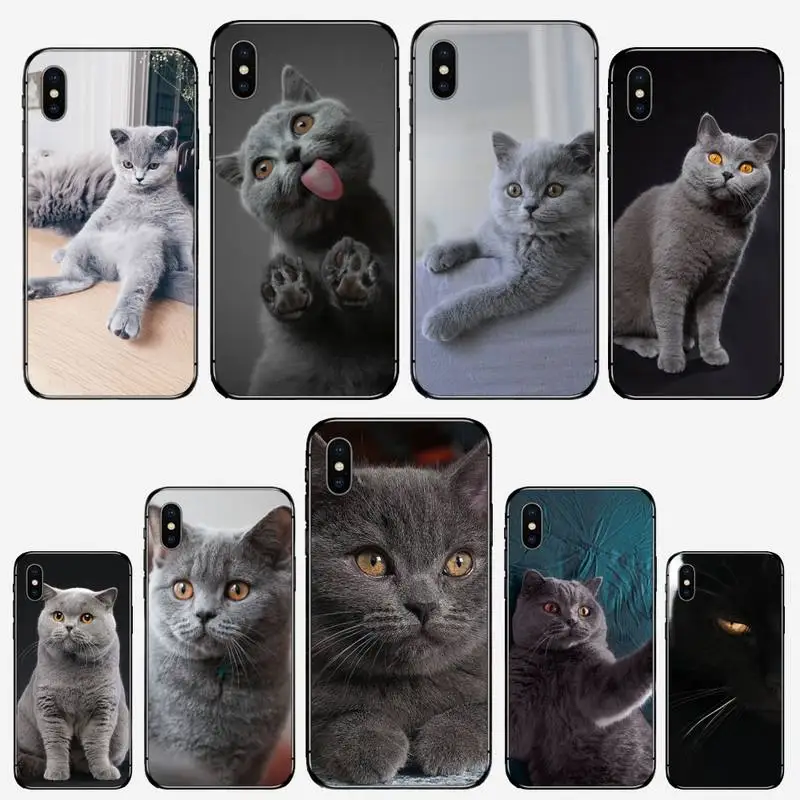 British Shorthair Cat Phone Case for iPhone 11 12 mini pro XS MAX 8 7 6 6S Plus X 5S SE 2020 XR
British Shorthair Cat Phone Case for iPhone 11 12 mini pro XS MAX 8 7 6 6S Plus X 5S SE 2020 XR