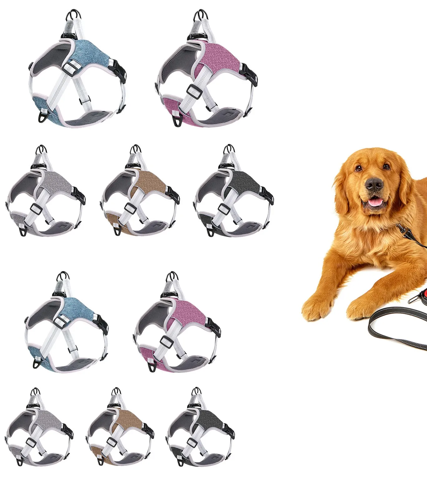 All Seasons Solid Color Personalized Quick Release Adjustable Outdoor Travel Dog Traction Rope Pet Vest Reflective Chest Strap
All Seasons Solid Color Personalized Quick Release Adjustable Outdoor Travel Dog Traction Rope Pet Vest Reflective Chest Strap