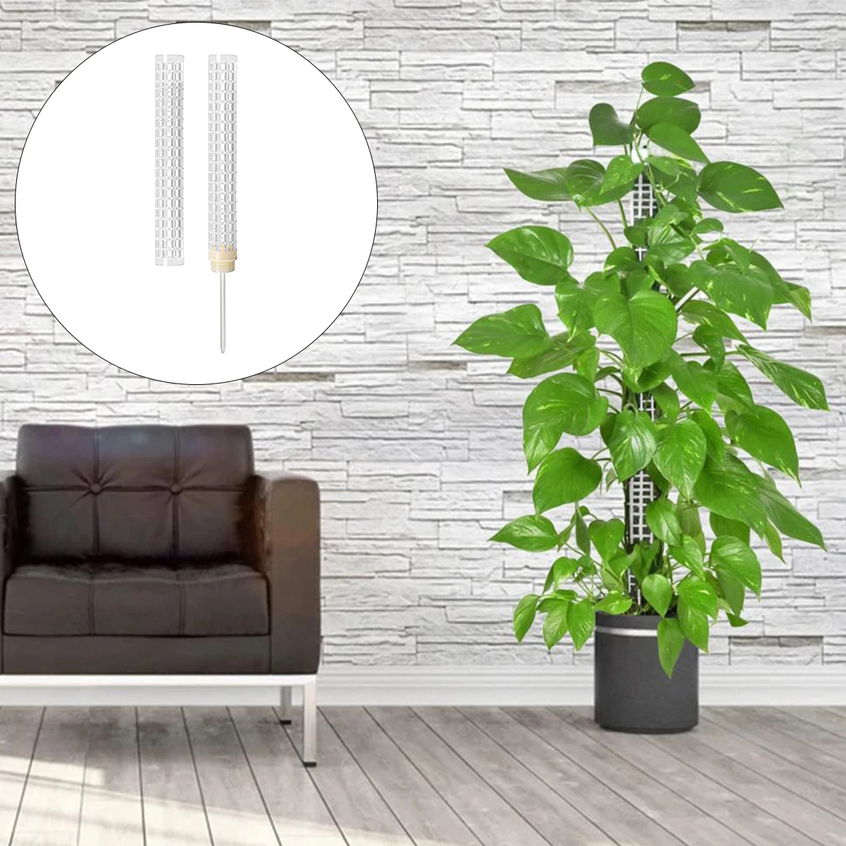 L 2Pcs Plastic Moss Poles Plant Pole Durable Coir Moss Stick Reusable Plant Stake Plant Support Indoor Potted Plant Stakes and
L 2Pcs Plastic Moss Poles Plant Pole Durable Coir Moss Stick Reusable Plant Stake Plant Support Indoor Potted Plant Stakes and