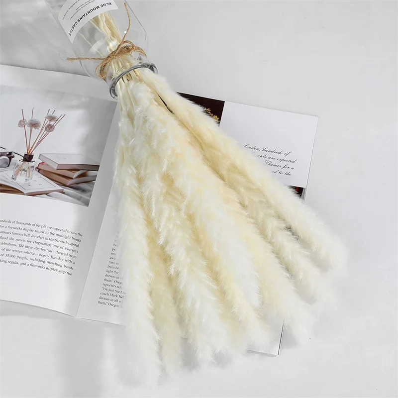 Dekoration 15Pcs Free Shipping Dried Pampas Grass Decor Wedding Flower Bunch Natural Plants for Home Christmas Decorations
Dekoration 15Pcs Free Shipping Dried Pampas Grass Decor Wedding Flower Bunch Natural Plants for Home Christmas Decorations