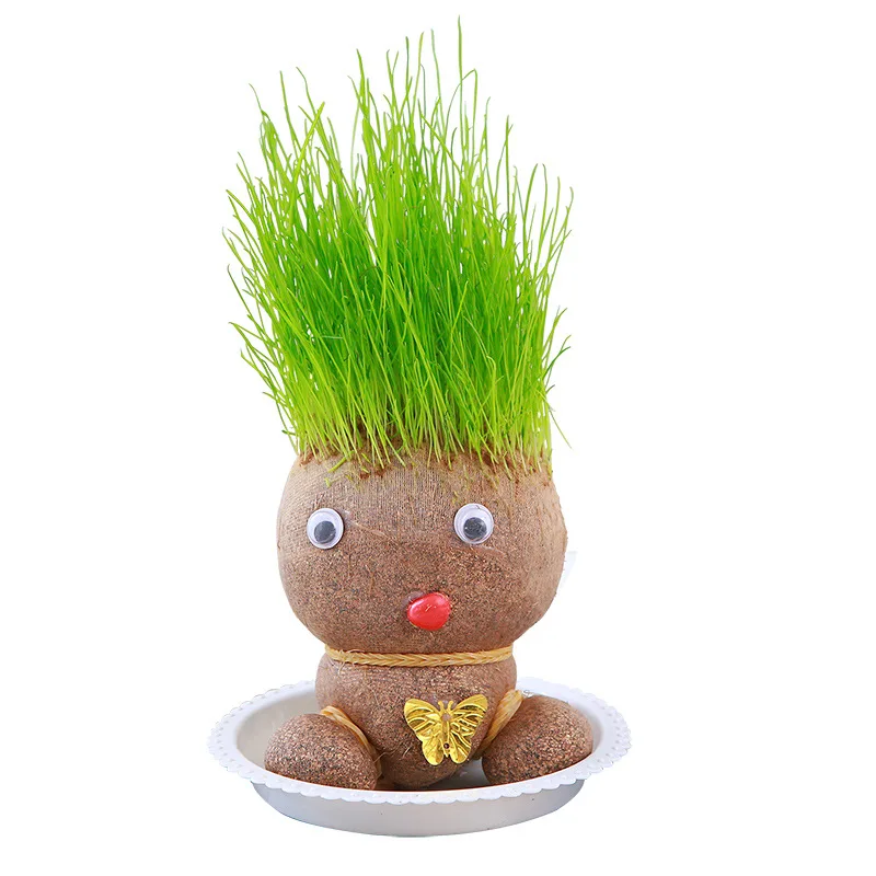 

Home Decor Bedroom Decoration Small Growing Grass Head Doll Plant Beautiful Children Gift Indoor Balcony Baby Pot Planters