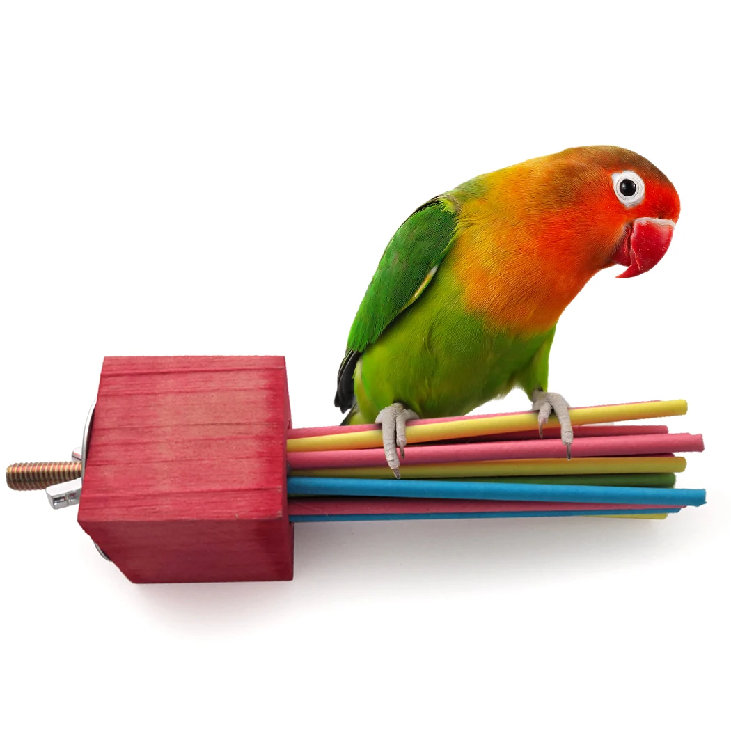 1pc Funny Parrot Tearing Toy Lollipop Stick Bird Toy Parrot Perch Parrot Bite Toy Bird playstand Parrot Exercise Accessories
1pc Funny Parrot Tearing Toy Lollipop Stick Bird Toy Parrot Perch Parrot Bite Toy Bird playstand Parrot Exercise Accessories