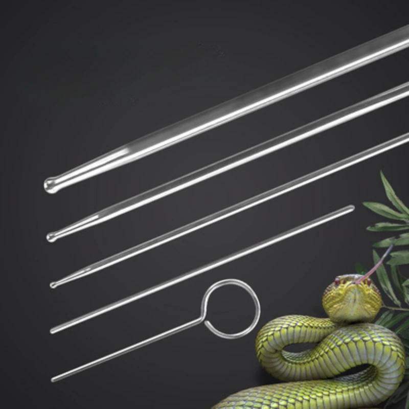 6pcs Professional Snake Probe Kit Round Ball Tip Reptiles Snake Gender Detector Probes Set Reptile Toy Accessories
6pcs Professional Snake Probe Kit Round Ball Tip Reptiles Snake Gender Detector Probes Set Reptile Toy Accessories