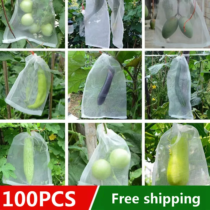 100PCS Grapes Garden Mesh Bags Fruit Protection Bags Agricultural Orchard Pest Control Anti-Bird Netting Vegetable Bags 
100PCS Grapes Garden Mesh Bags Fruit Protection Bags Agricultural Orchard Pest Control Anti-Bird Netting Vegetable Bags