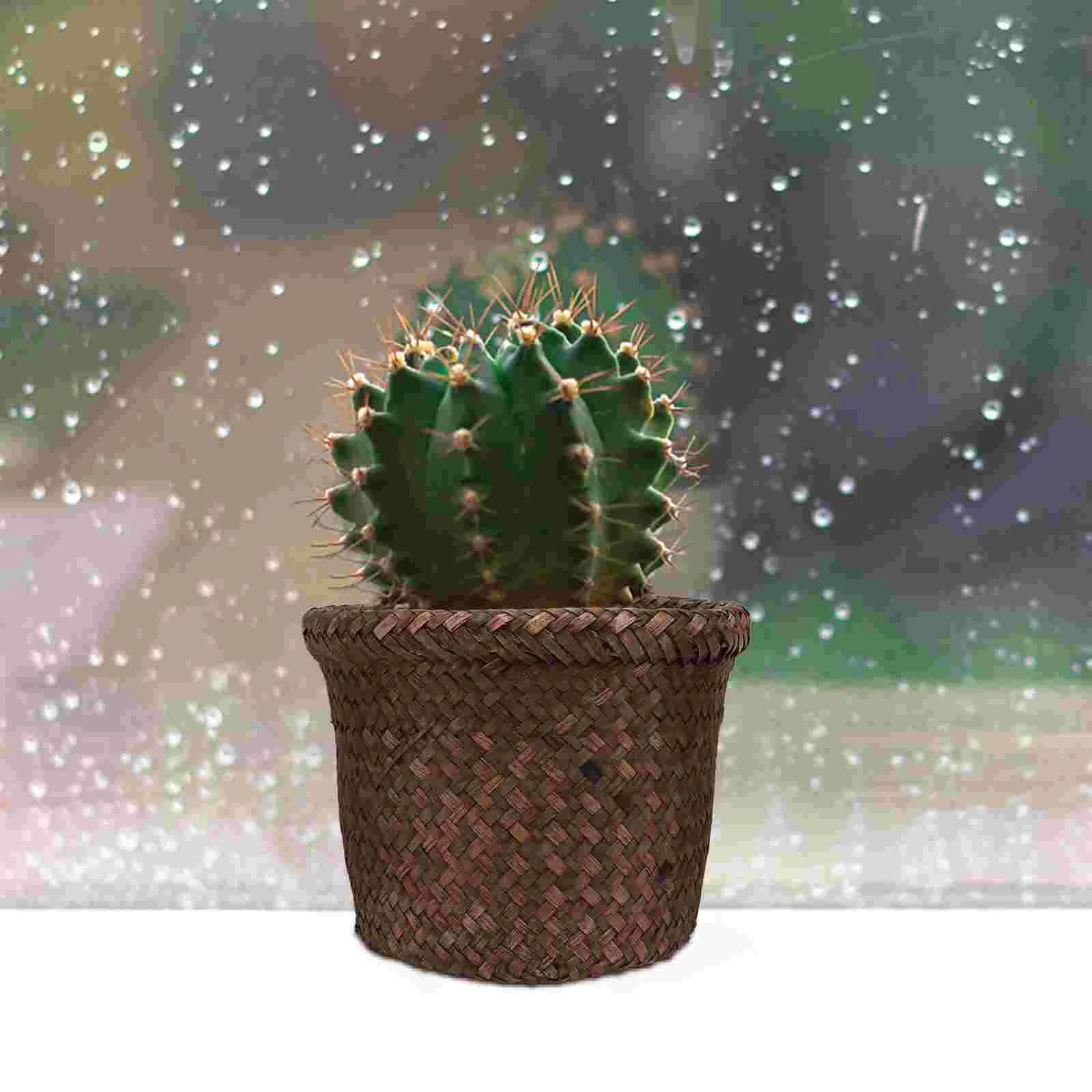 Basketwoven Flower Pot Planter Seagrass Rattan Indoor Wicker Storagebasketspots Flowerpot Planters Seaweed Cover Hand Organizer
Basketwoven Flower Pot Planter Seagrass Rattan Indoor Wicker Storagebasketspots Flowerpot Planters Seaweed Cover Hand Organizer