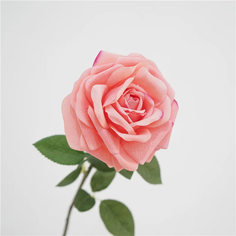 Artificial Latex Queen Roses Branch Wedding Bride Holding Flower Photography Props Home Garden Moisturizing Rose Decoration
Artificial Latex Queen Roses Branch Wedding Bride Holding Flower Photography Props Home Garden Moisturizing Rose Decoration