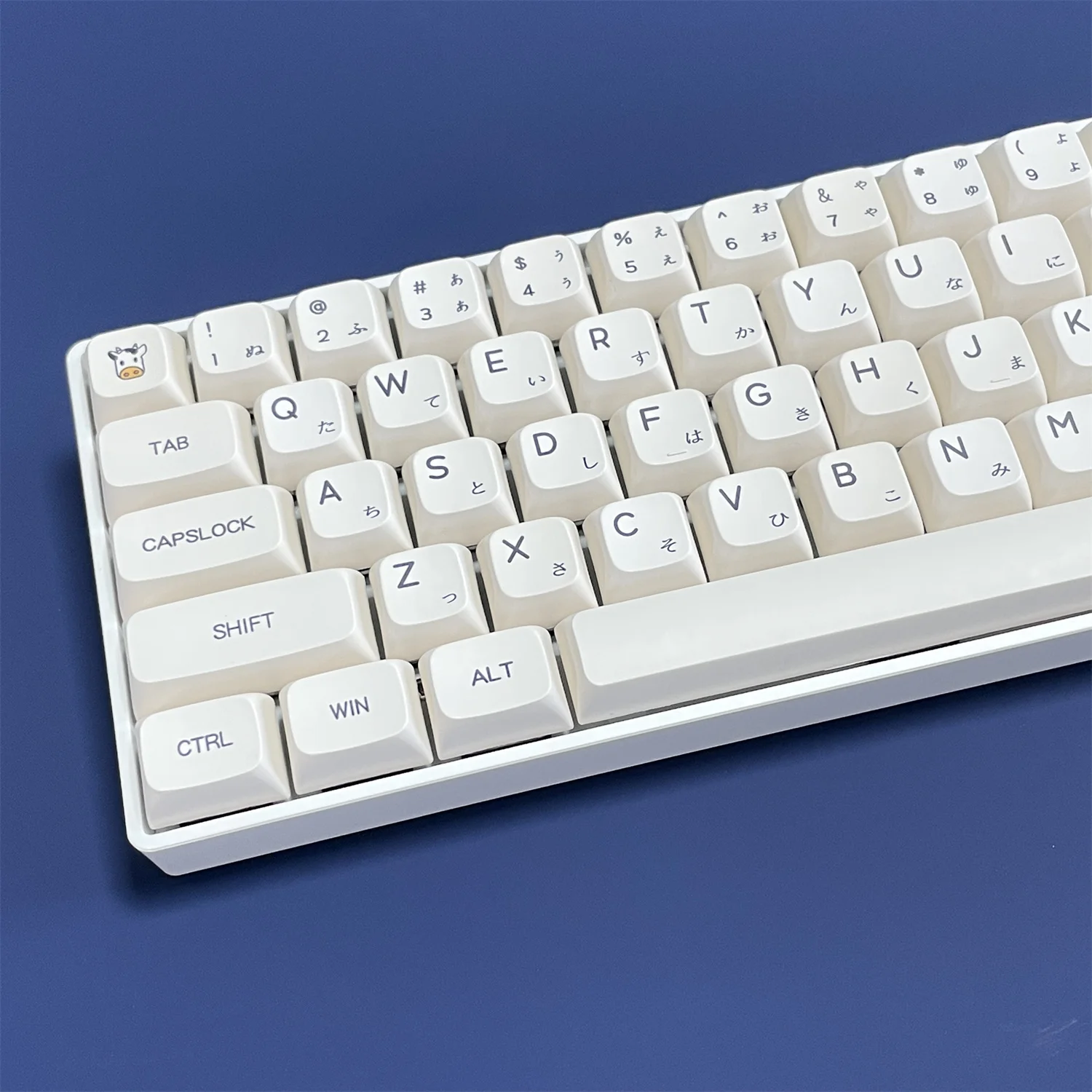 124 Keys Milk Theme Key Caps XDA Profile PBT Dye Subbed Japanese Minimalist White Keycaps For MX Switch Mechanical Keyboard
124 Keys Milk Theme Key Caps XDA Profile PBT Dye Subbed Japanese Minimalist White Keycaps For MX Switch Mechanical Keyboard