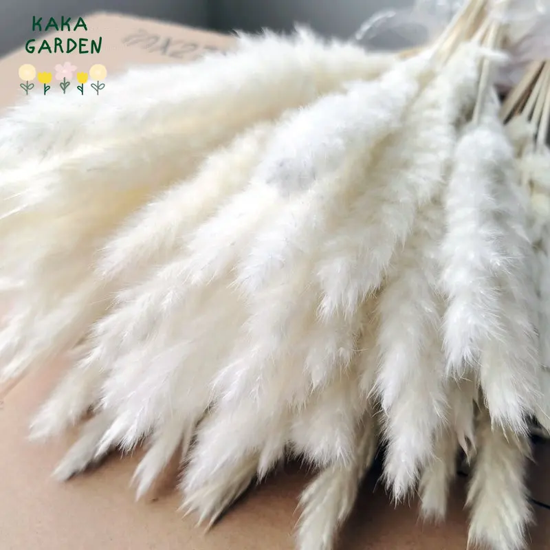 Dried Flowers Pampas Grass Boho Home Decor Bouquet Natural Fluffy Reed for Wedding Party Decoration Real Plant DIY Accessories
Dried Flowers Pampas Grass Boho Home Decor Bouquet Natural Fluffy Reed for Wedding Party Decoration Real Plant DIY Accessories