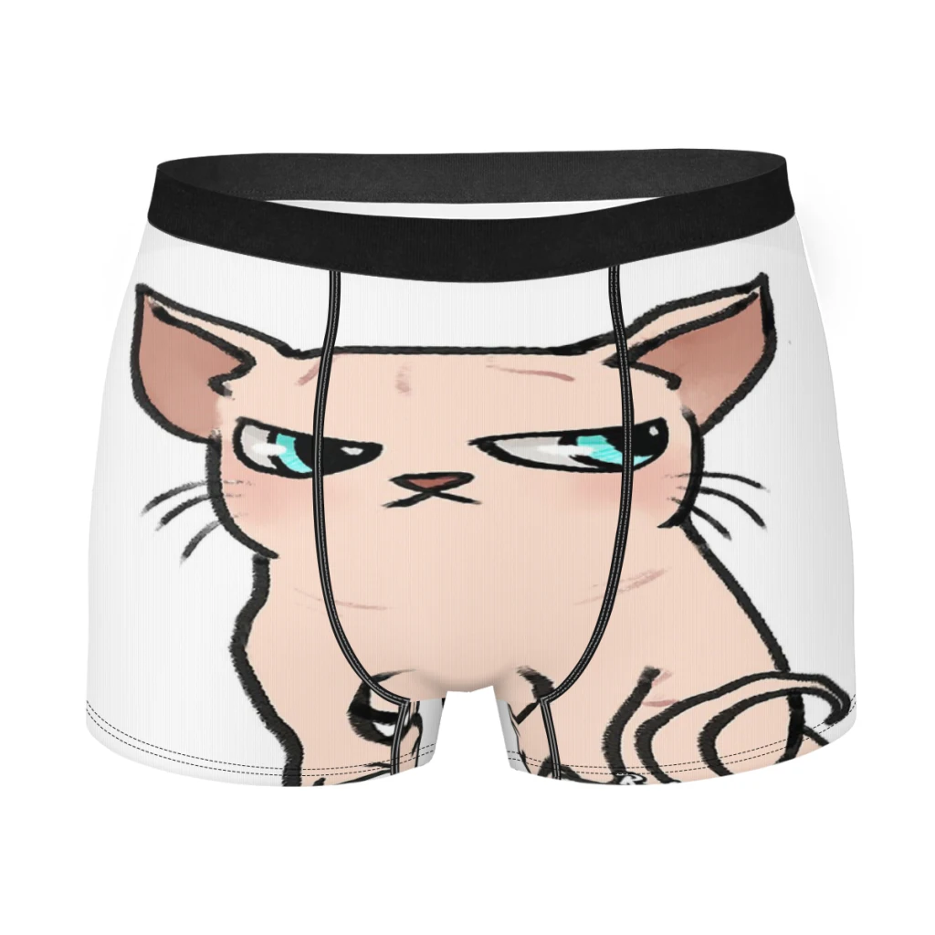 Трусы-боксеры Sphynx RedZenDesignz мужские, милое нижнее белье с принтом кота без волос, шорты-боксеры
Трусы-боксеры Sphynx RedZenDesignz мужские, милое нижнее белье с принтом кота без волос, шорты-боксеры