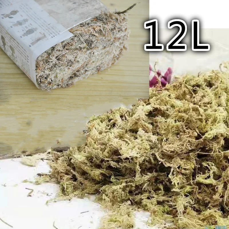 12L Natural Terrarium Moss Reptile Turtle Moss Substrate Habitat Decoration Decorations Reptiles Supplies Amphibians for Pet
12L Natural Terrarium Moss Reptile Turtle Moss Substrate Habitat Decoration Decorations Reptiles Supplies Amphibians for Pet