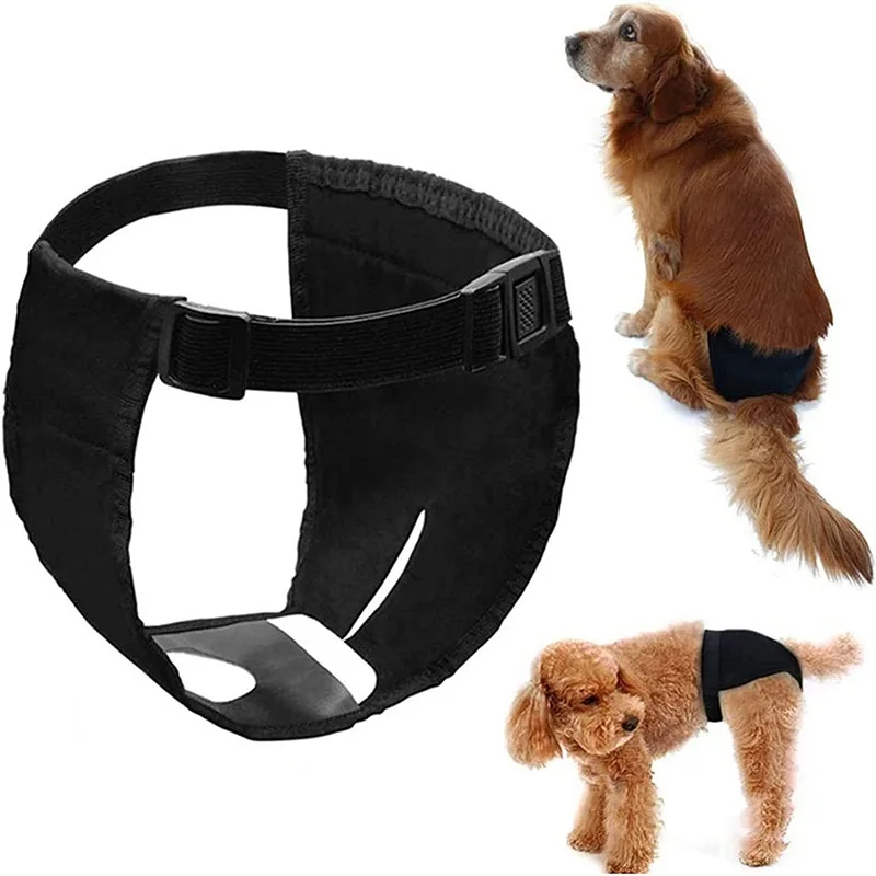 Washable Female Dog Diapers Dog Physiological Pants Diaper Sanitary Dog Panties Shorts Underwear Briefs For Dog Sanitary Panties
Washable Female Dog Diapers Dog Physiological Pants Diaper Sanitary Dog Panties Shorts Underwear Briefs For Dog Sanitary Panties
